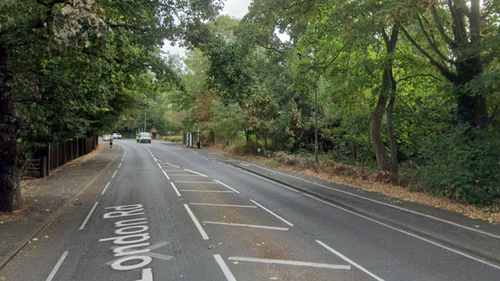 View of London Road, Burpham